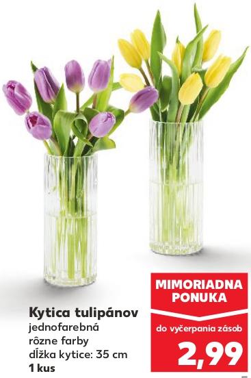 Kytica tulipánov
