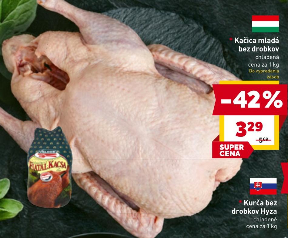 Kačica mladá bez drobkov