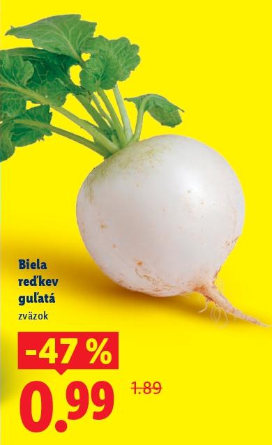 Biela reďkev guľatá