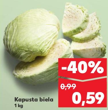 Kapusta biela