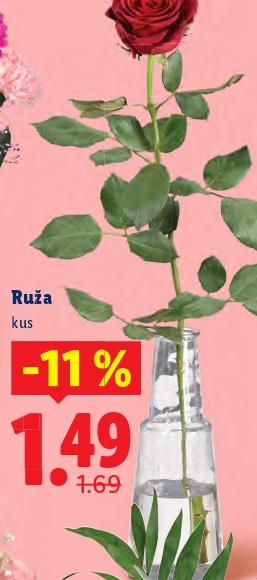 Ruža
