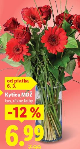 Kytica MDŽ