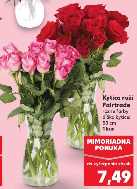 Kytica ruží