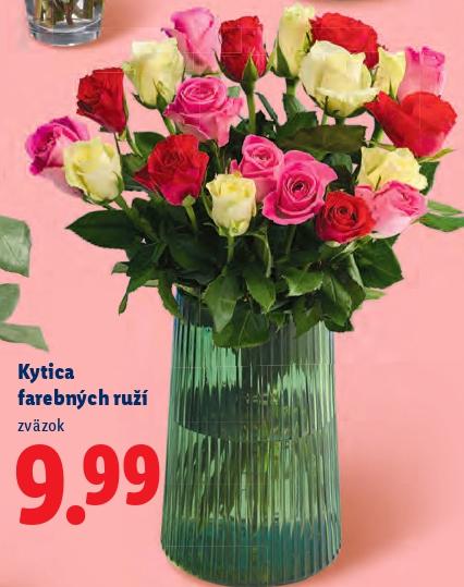 Kytica farebných ruží