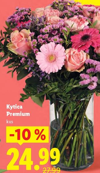 Kytica Premium