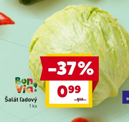 Šalát ľadový