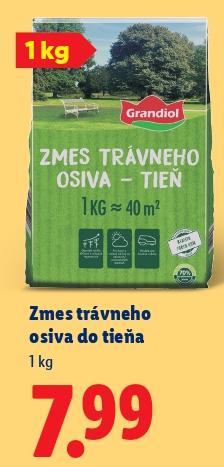 Zmes trávneho osiva do tieňa
