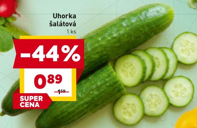 Uhorka šalátová